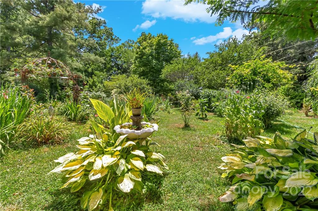 528 Padgettown Road Black Mountain, NC 28711 - Photo 21 of 37 a view of a tree