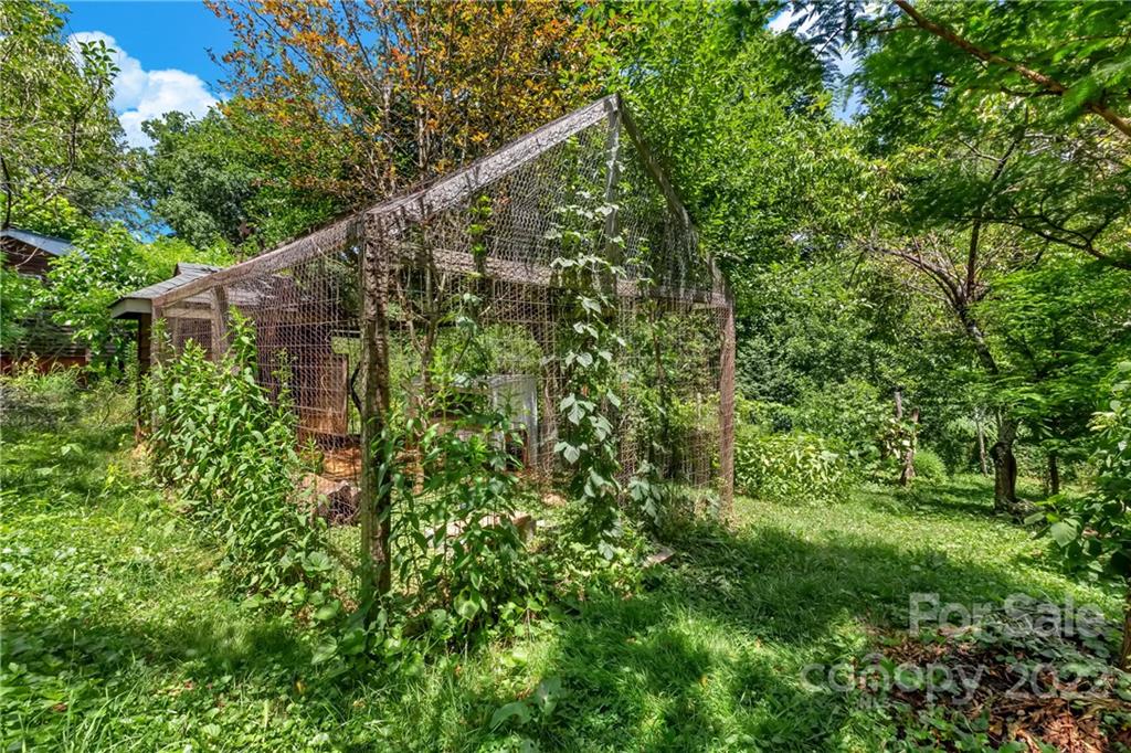 528 Padgettown Road Black Mountain, NC 28711 - Photo 23 of 37 a backyard of a house with lots of green space and trees all around