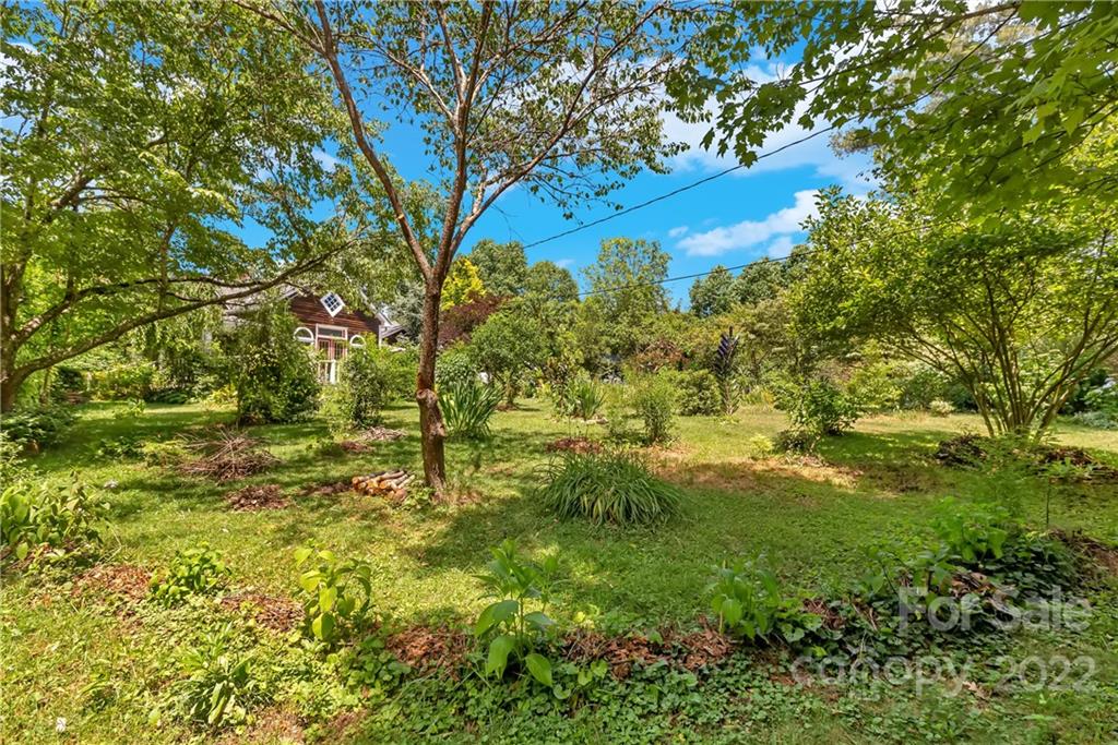 528 Padgettown Road Black Mountain, NC 28711 - Photo 29 of 37 a view of yard with green space