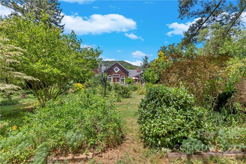 528 Padgettown Road Black Mountain, NC 28711 - Photo 30 of 37 a view of a house with a lush green forest