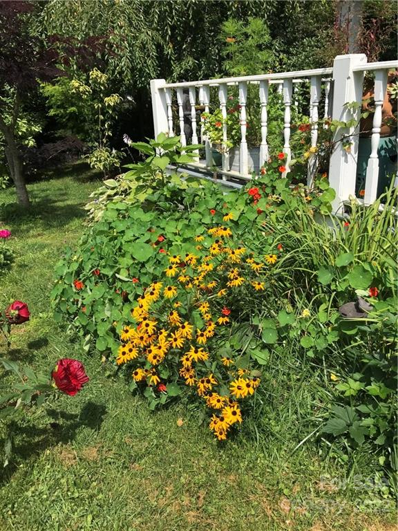 528 Padgettown Road Black Mountain, NC 28711 - Photo 8 of 37 a garden view