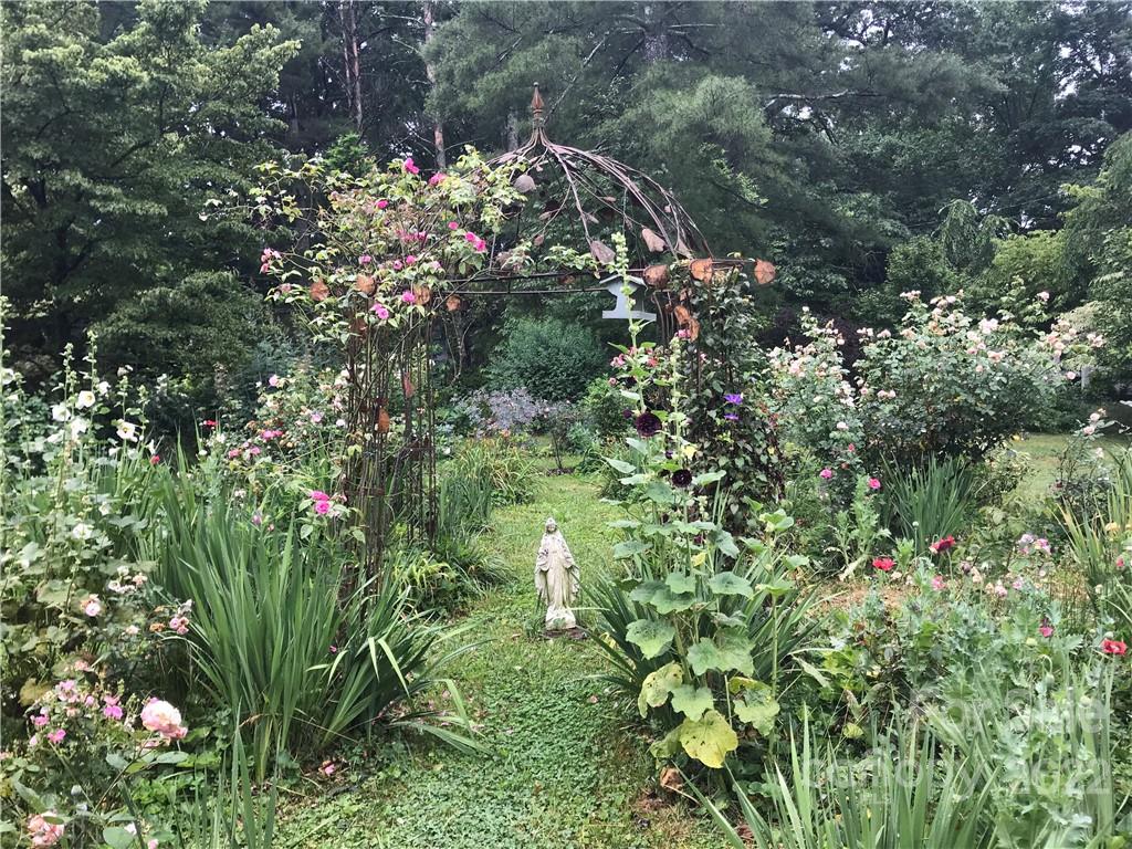 528 Padgettown Road Black Mountain, NC 28711 - Photo 9 of 37 a view of flowers in middle of a garden