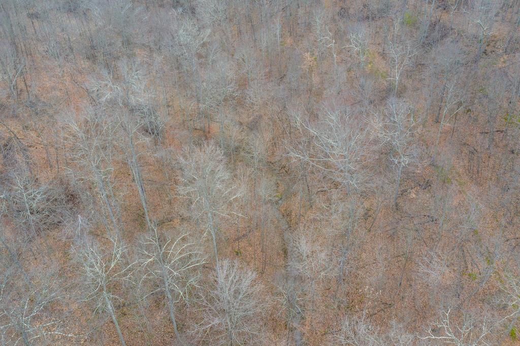 0 West Sharps Ridge Road Northwest McConnelsville, OH 43756 - Photo 12 of 28