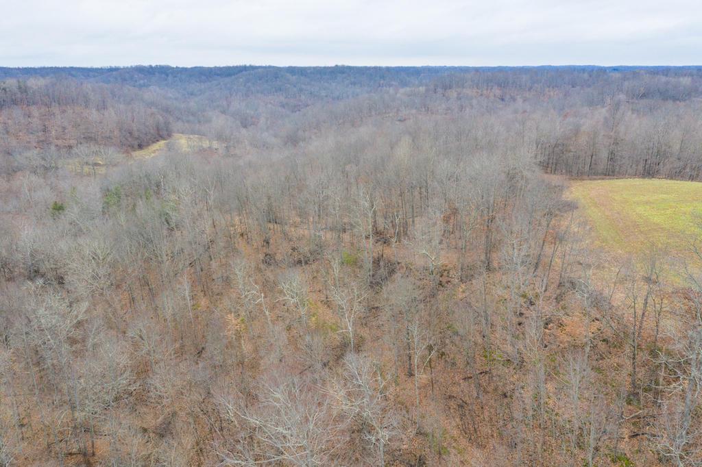 0 West Sharps Ridge Road Northwest McConnelsville, OH 43756 - Photo 14 of 28