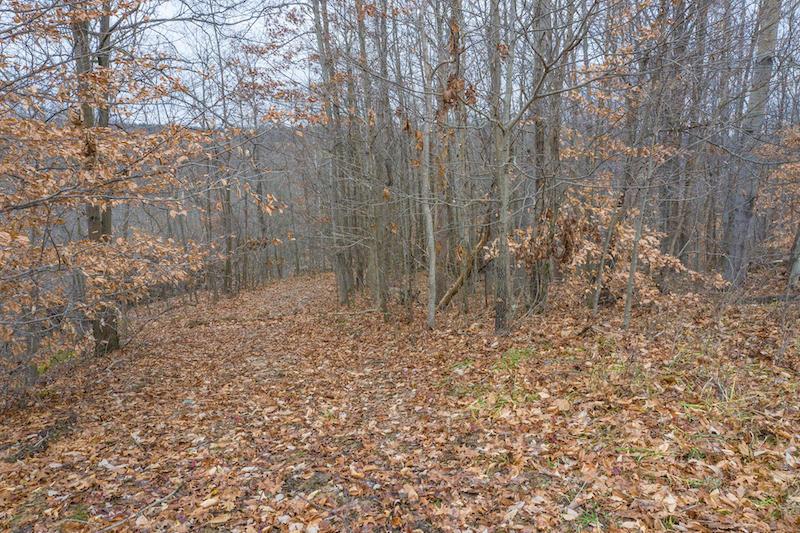 0 West Sharps Ridge Road Northwest McConnelsville, OH 43756 - Photo 15 of 28