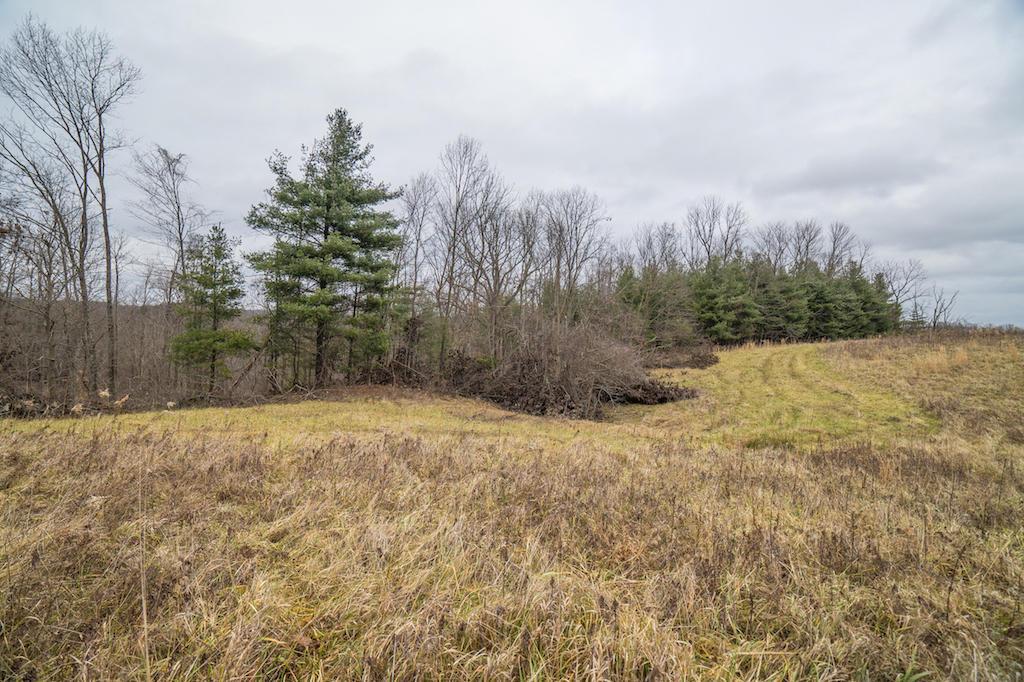 0 West Sharps Ridge Road Northwest McConnelsville, OH 43756 - Photo 18 of 28