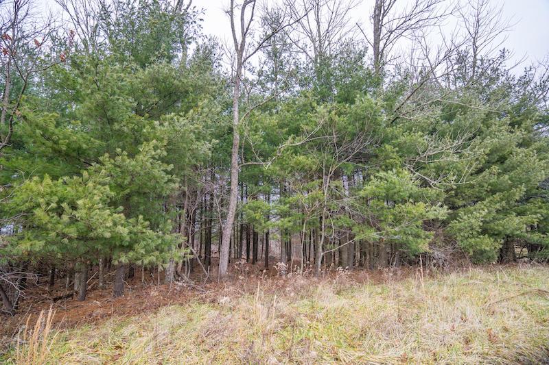 0 West Sharps Ridge Road Northwest McConnelsville, OH 43756 - Photo 19 of 28