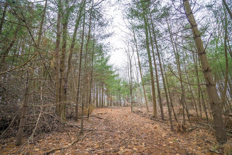 0 West Sharps Ridge Road Northwest McConnelsville, OH 43756 - Photo 20 of 28