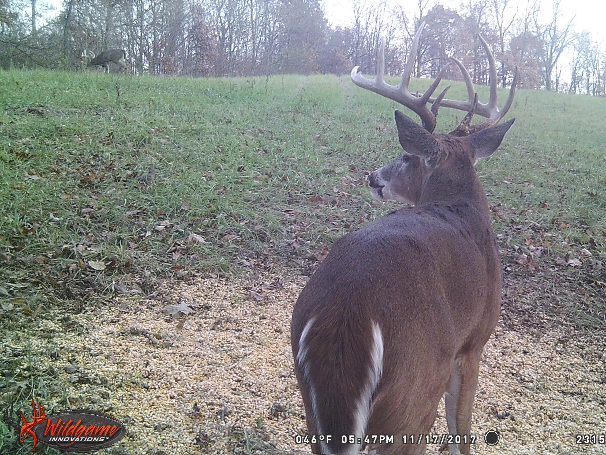 0 West Sharps Ridge Road Northwest McConnelsville, OH 43756 - Photo 2 of 28