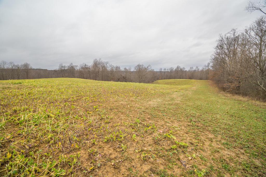 0 West Sharps Ridge Road Northwest McConnelsville, OH 43756 - Photo 23 of 28