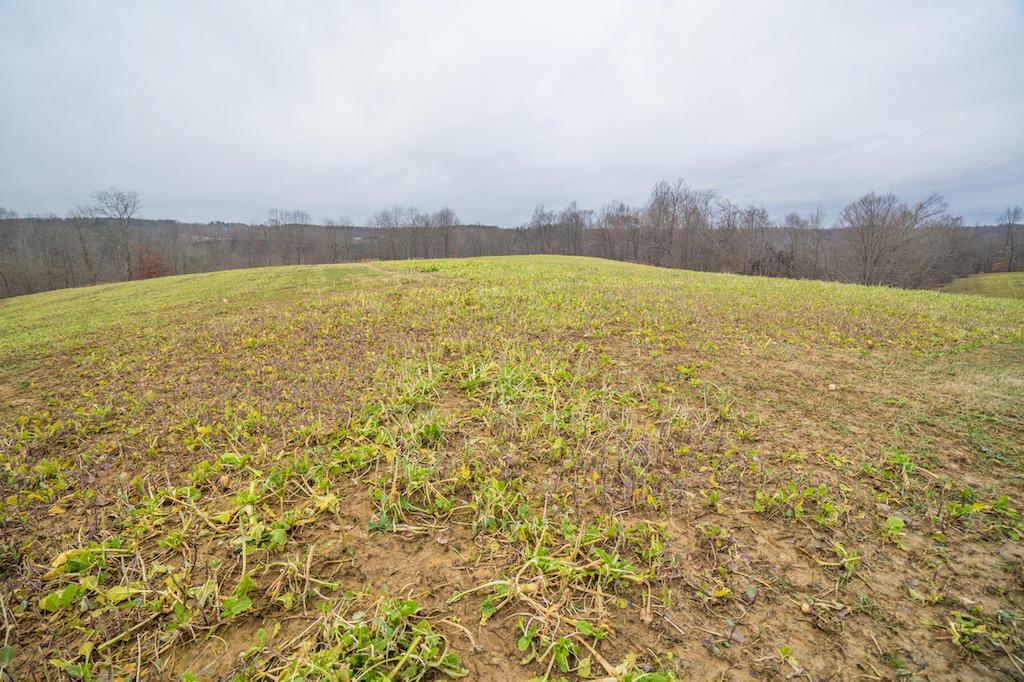 0 West Sharps Ridge Road Northwest McConnelsville, OH 43756 - Photo 24 of 28