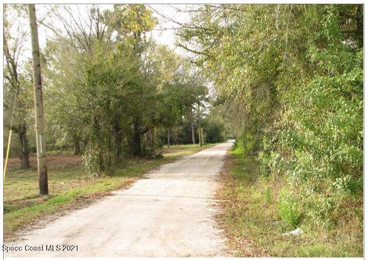 509 Cox Road Orlando, FL 32833 - Photo 1 of 1 a view of a yard with trees
