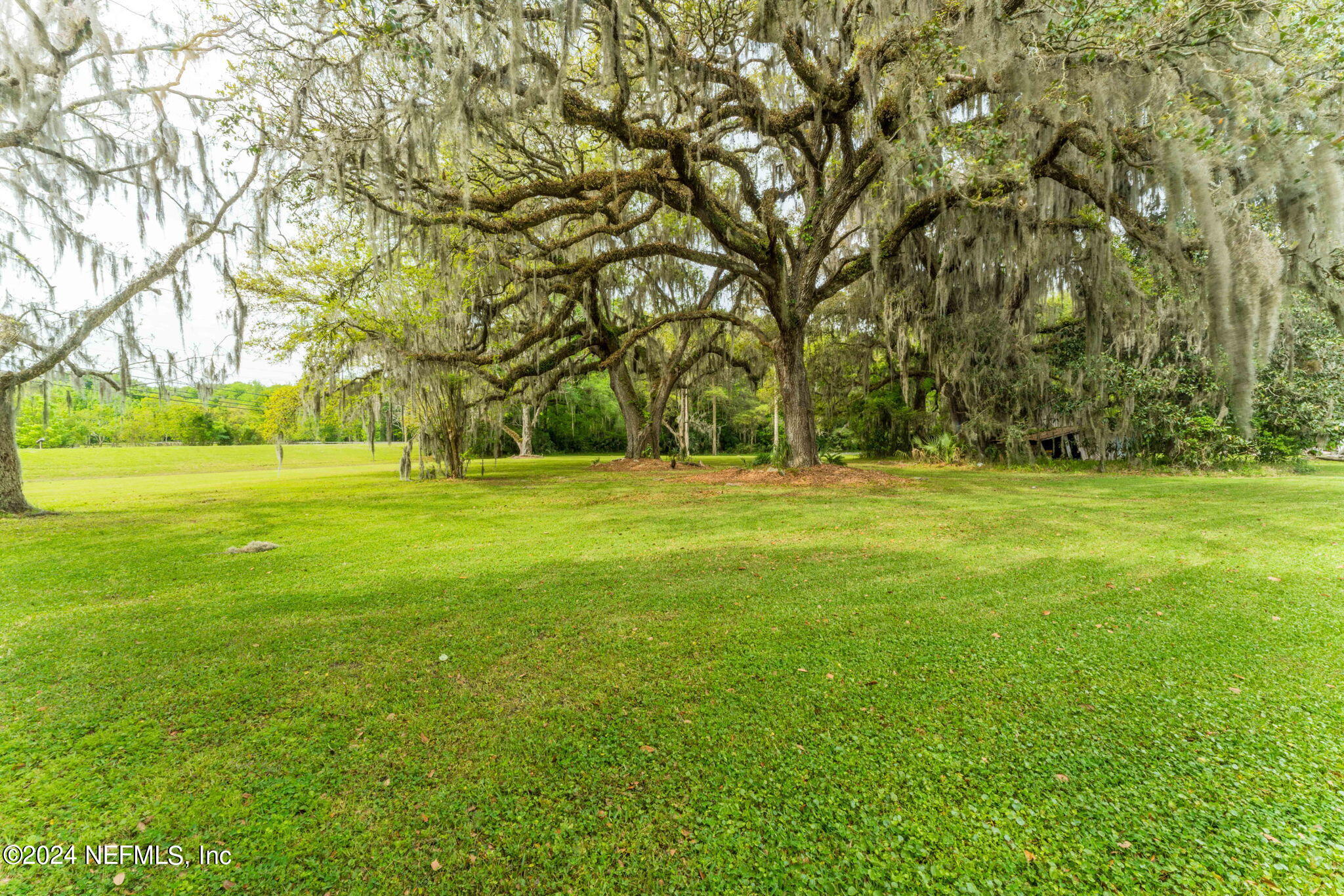 542284 Lem Turner Road Callahan, FL 32011 - Photo 63 of 84 Enjoy Nature