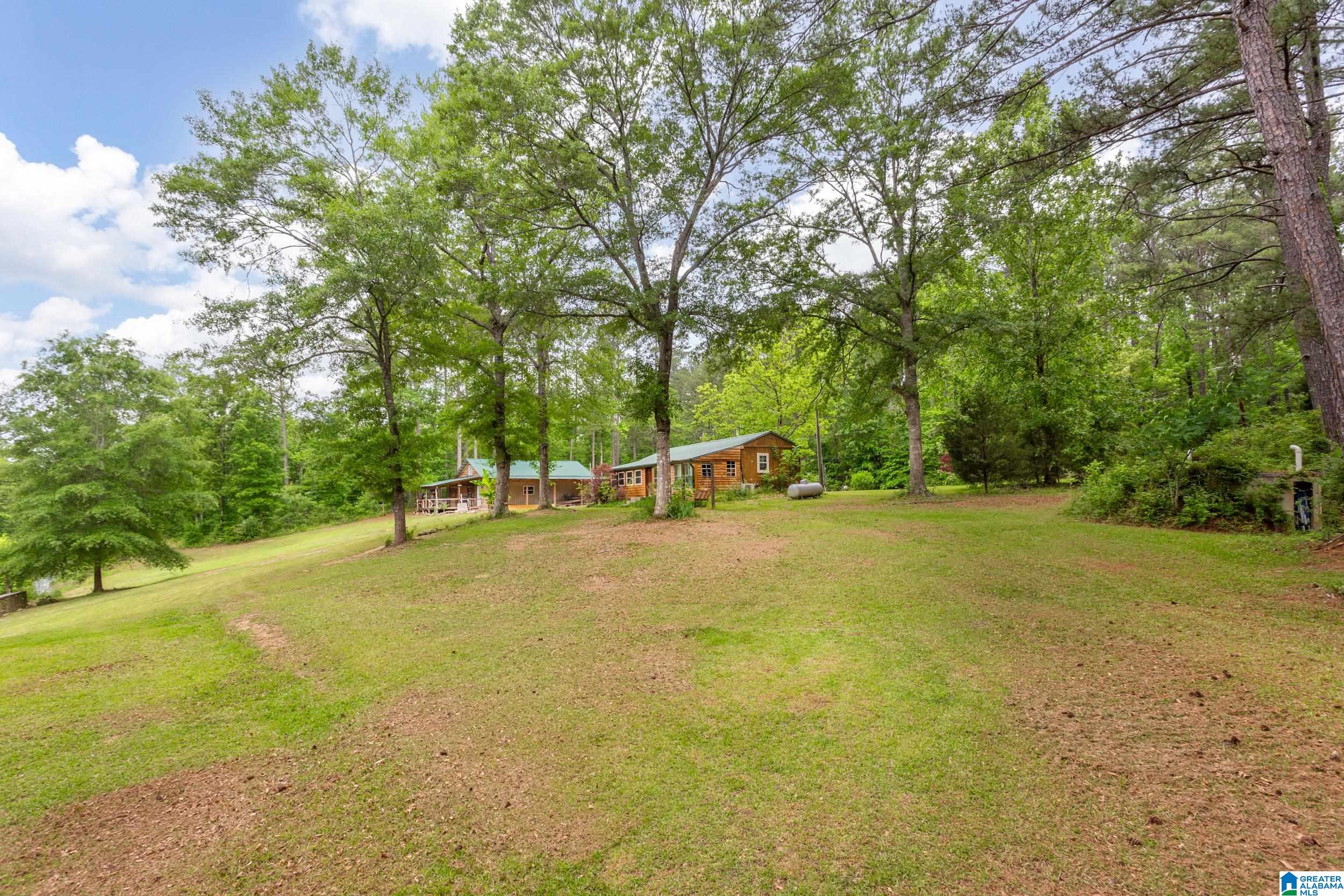 373 Seminole Trail Ohatchee, AL 36271 - Photo 19 of 41