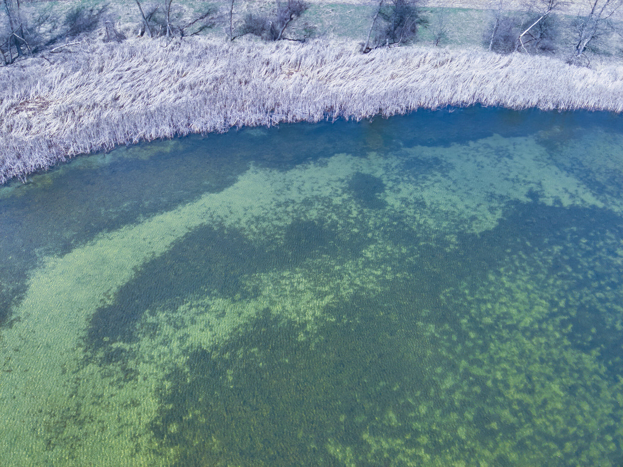 60 Michigan Tekonsha, MI 49092 - Photo 13 of 22 DJI_20250412024712_0012_V