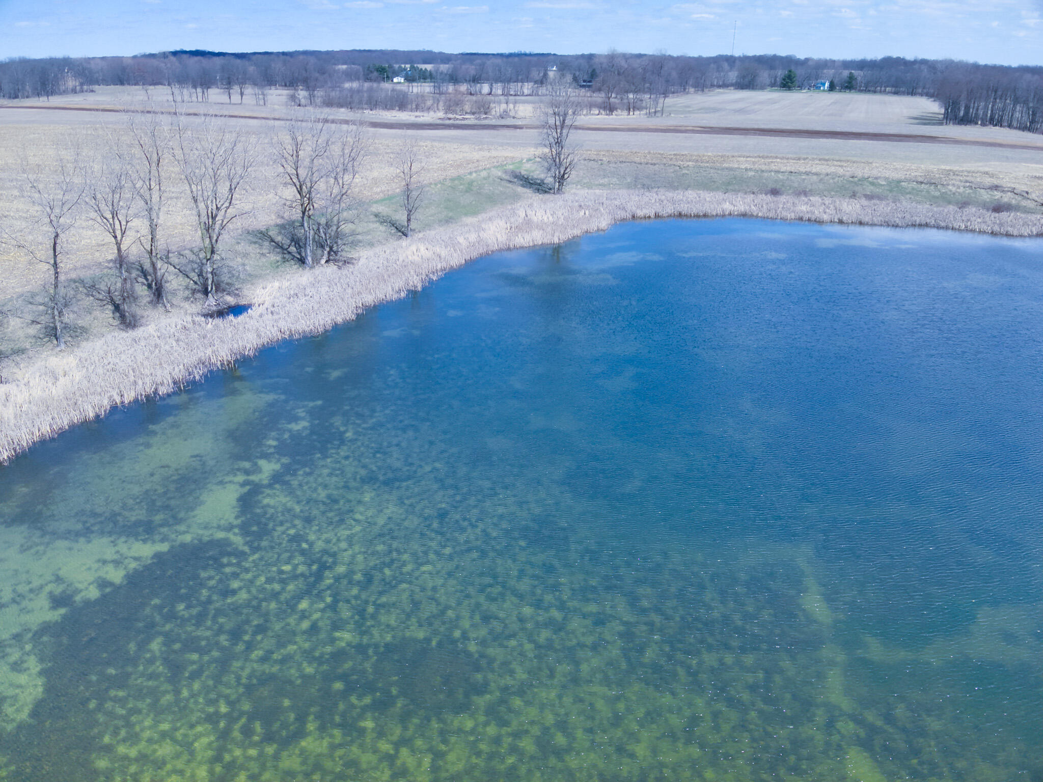60 Michigan Tekonsha, MI 49092 - Photo 14 of 22 DJI_20250412024720_0013_V