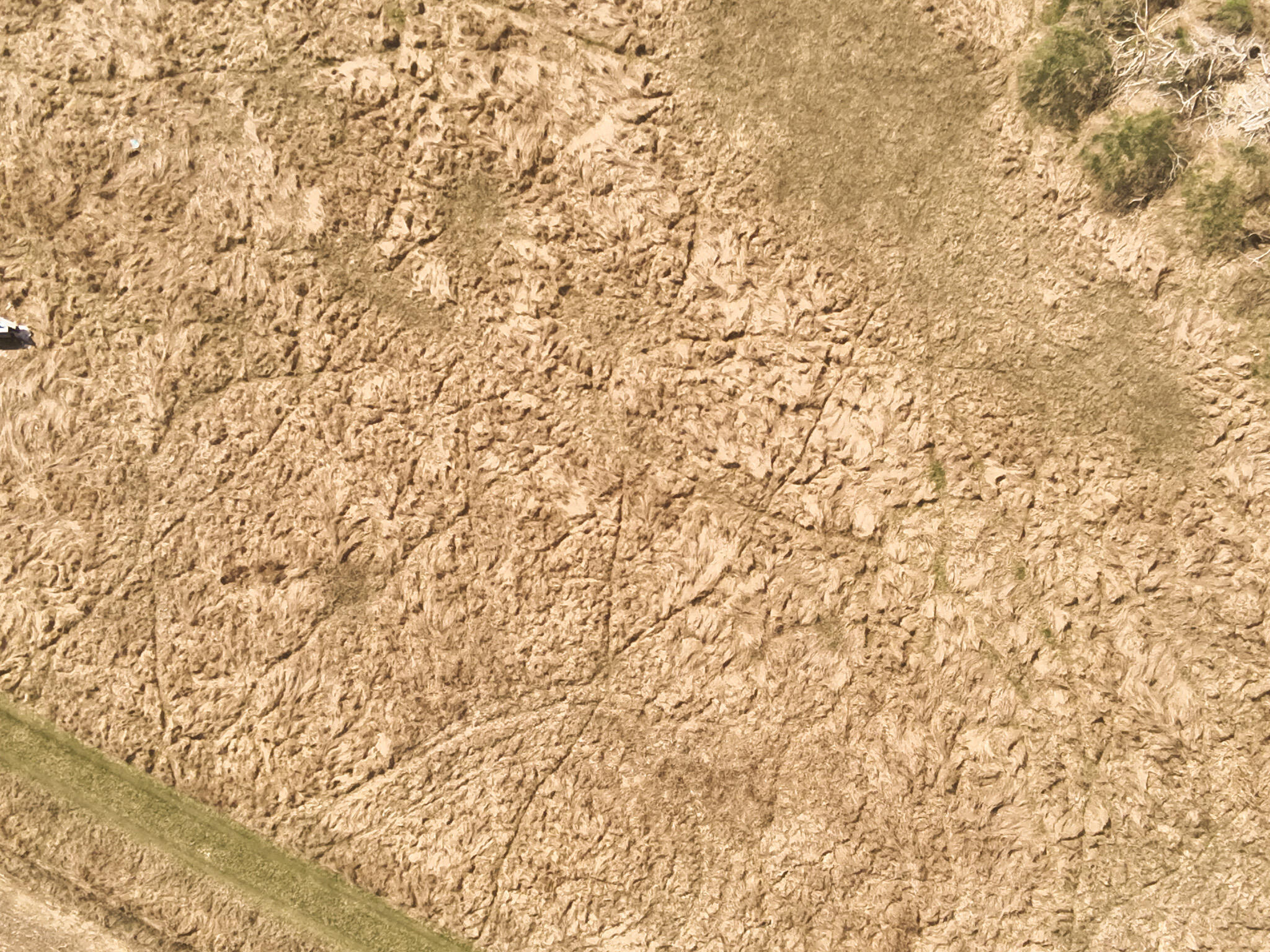 60 Michigan Tekonsha, MI 49092 - Photo 20 of 22 DJI_20250412024949_0021_V