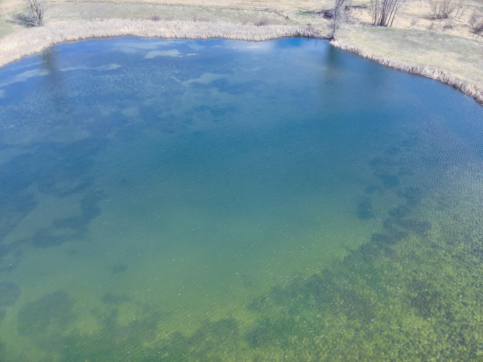 60 Michigan Tekonsha, MI 49092 - Photo 7 of 22 DJI_20250412024639_0010_V
