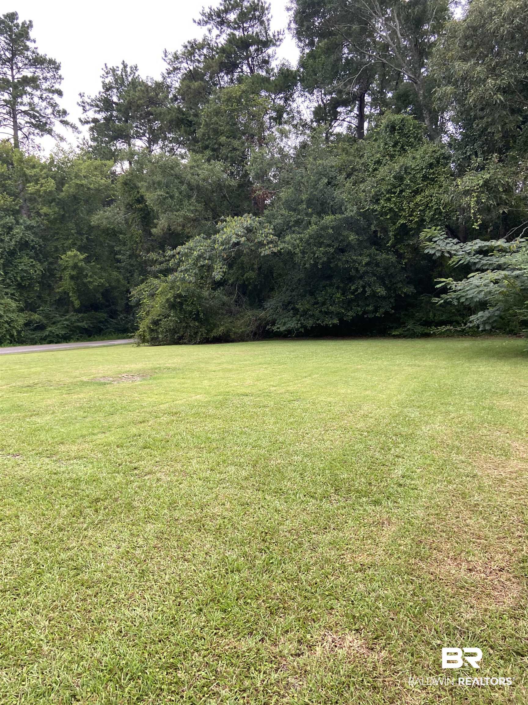 156 Downing Castleberry, AL 36432 - Photo 4 of 16