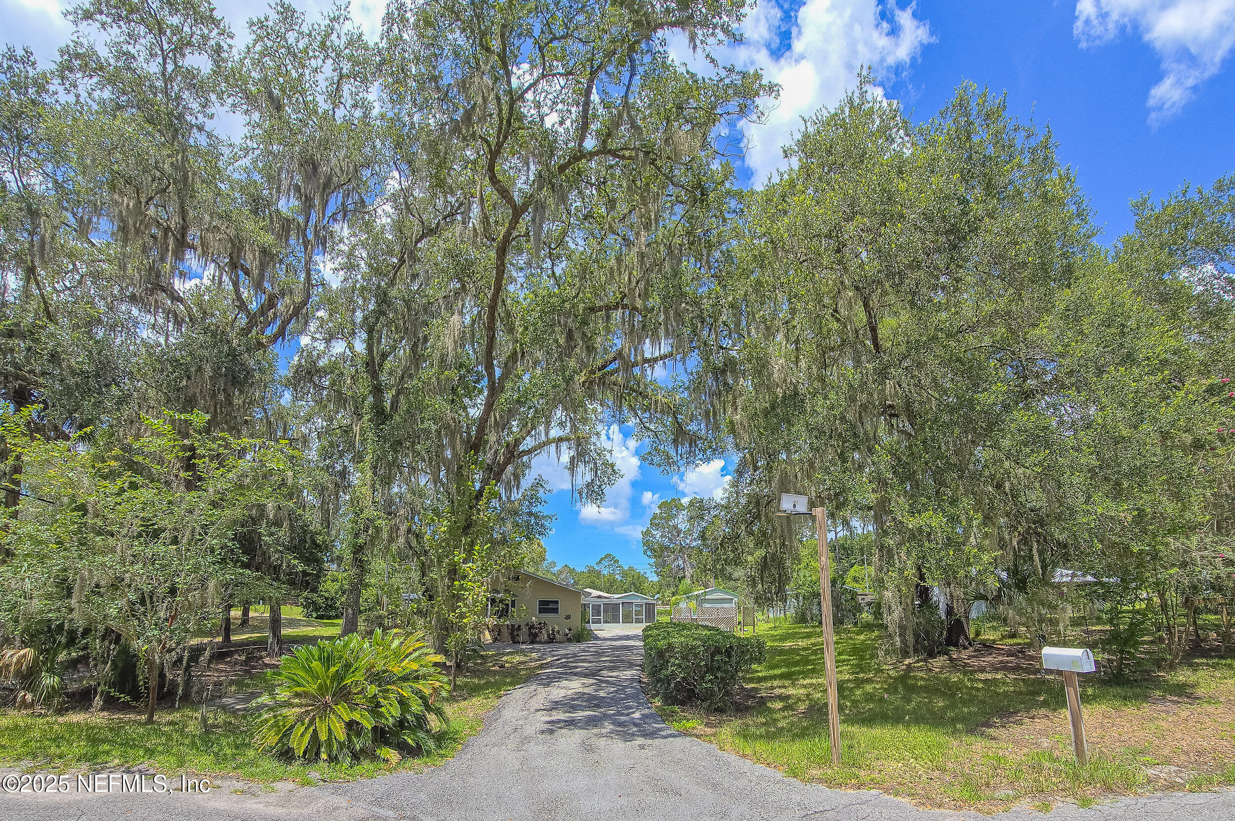 5 55th Street Yankeetown, FL 34498 - Photo 1 of 24 a view of a yard