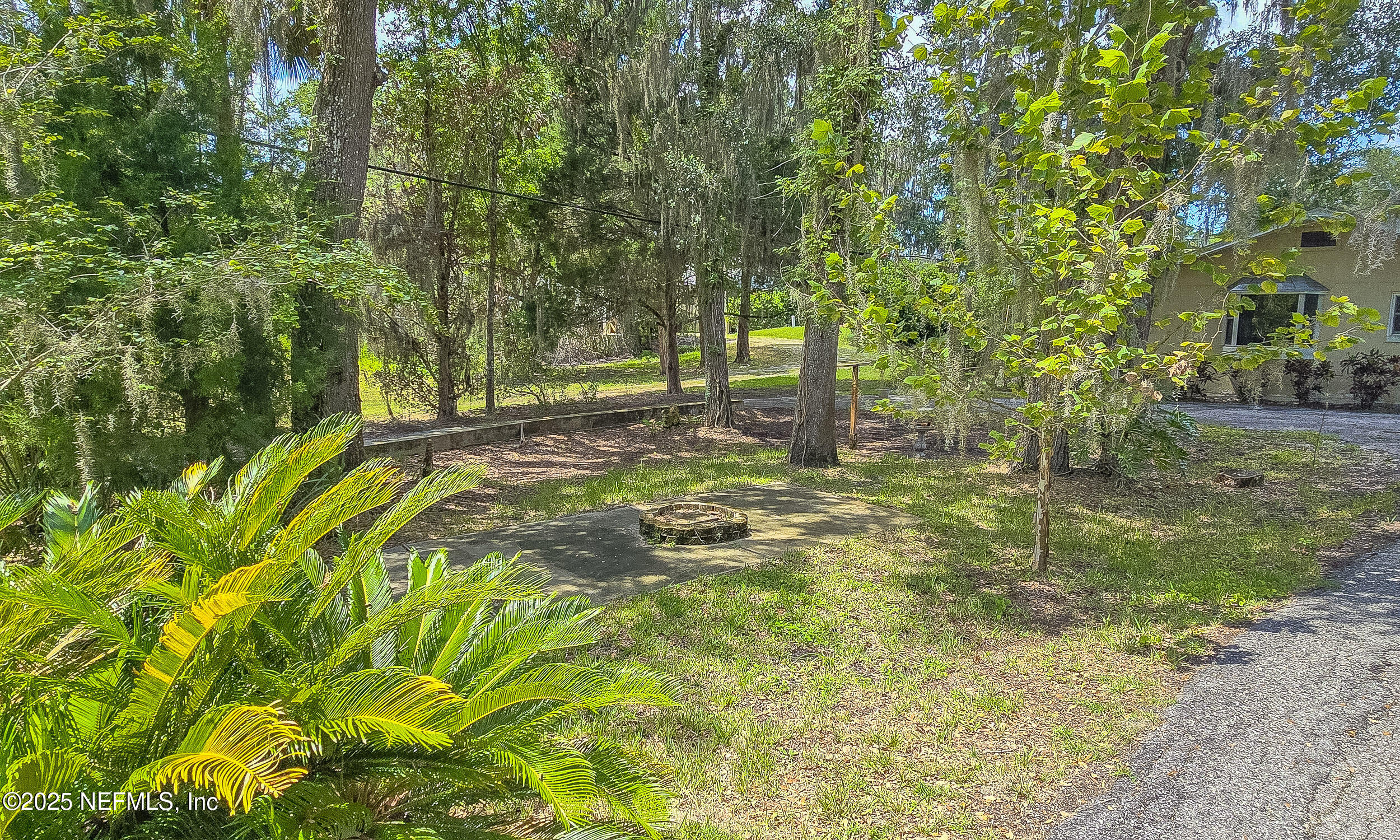 5 55th Street Yankeetown, FL 34498 - Photo 20 of 24 a view of a yard with trees