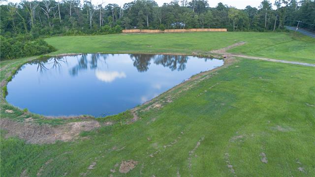 1207 Hwy Deville La Deville, LA 71328 - Photo 6 of 17