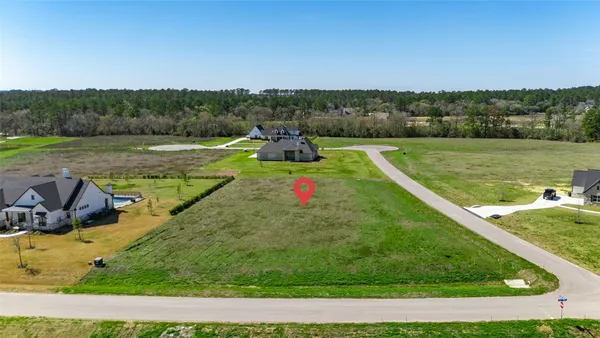 a view of a lake with a yard and large trees
