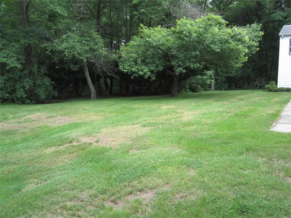19 Country Lane Canton, MA 02021 - Photo 14 of 16 Gallery Image 14