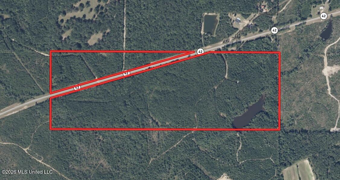 42 Mississippi State Line, MS 39362 - Photo 82 of 87 Aerial Map