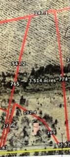 Lot 2 White Pond Road Williston, SC 29853 - Photo 1 of 1 thumbnail_IMG_4333