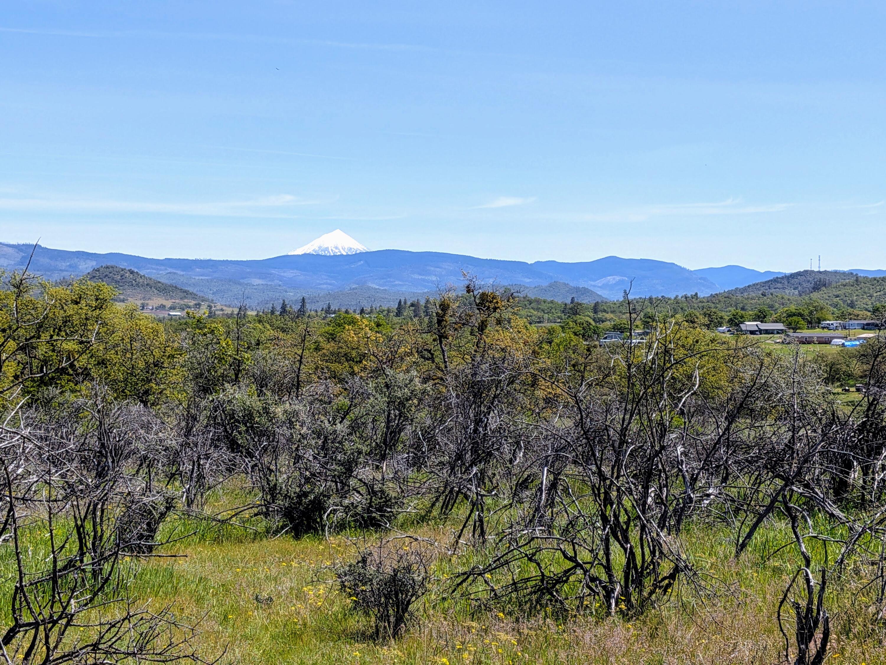 Stevens Road, Unit 100 Eagle Point, OR 97524 - Photo 2 of 15