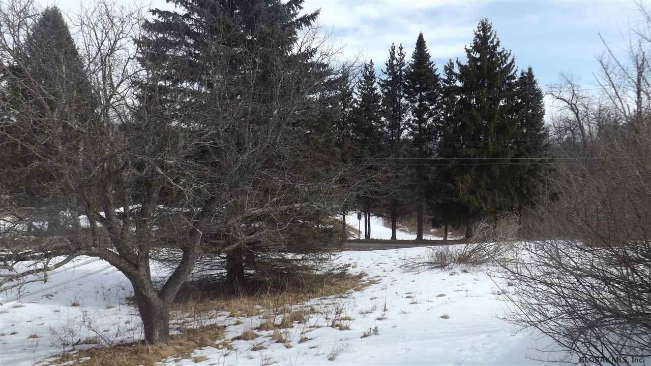 56 Will Jones Road Petersburgh, NY 12138 - Photo 5 of 21 Photo 5