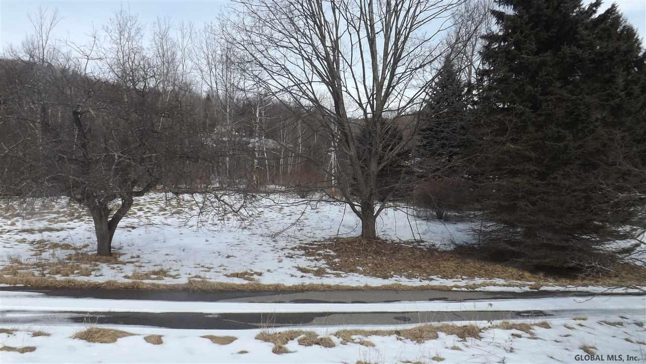56 Will Jones Road Petersburgh, NY 12138 - Photo 6 of 21 Photo 6