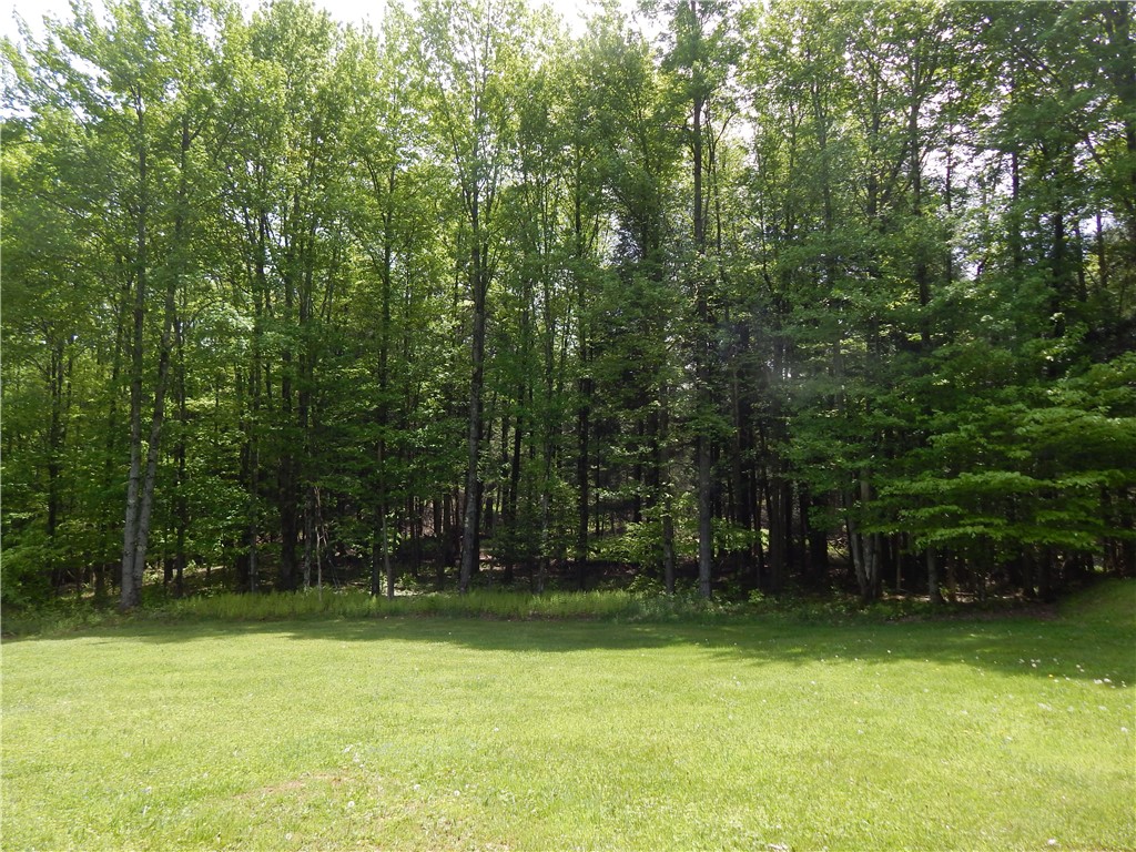 108 Toy Farm Road Hartwick, NY 13348 - Photo 21 of 25