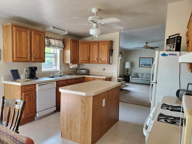 521 Manzer Road Beaverton, MI 48612 - Photo 3 of 9
