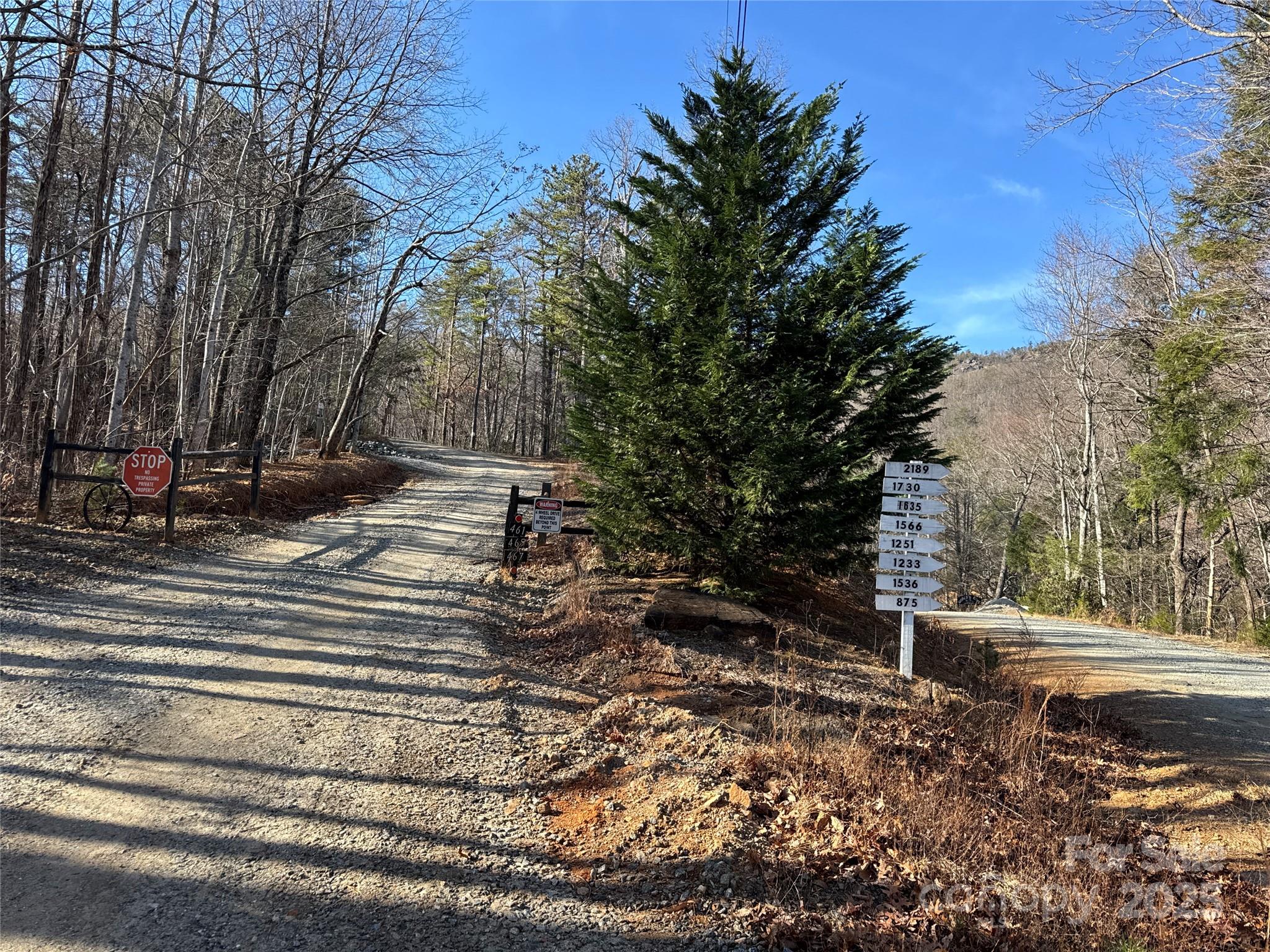 0 Judes Gap Road, Unit 3 Mill Spring, NC 28756 - Photo 2 of 5 a view of yard with tree