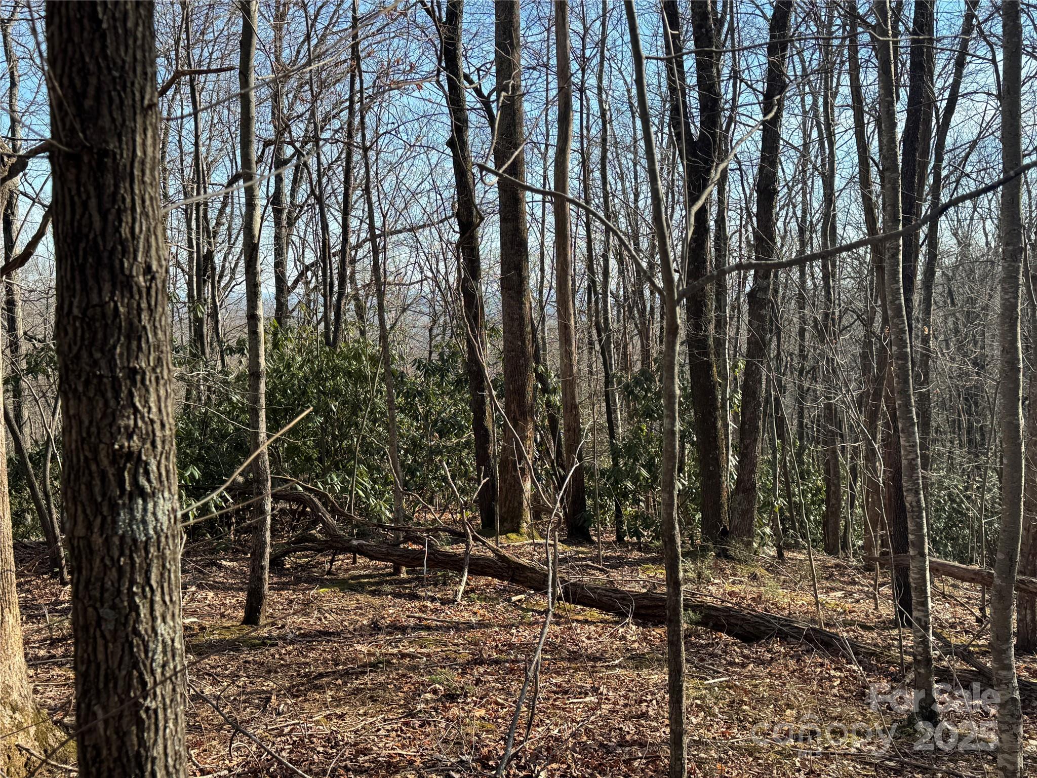 0 Judes Gap Road, Unit 3 Mill Spring, NC 28756 - Photo 4 of 5 a backyard of a house with lots of green space