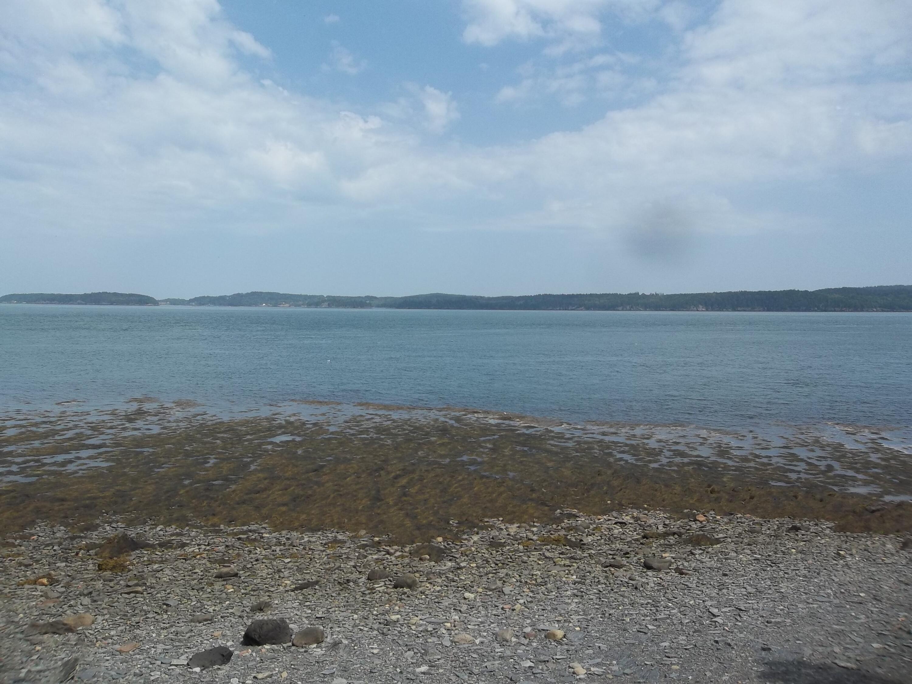 17 Indian Road Eastport, ME 04631 - Photo 1 of 12 100_2391