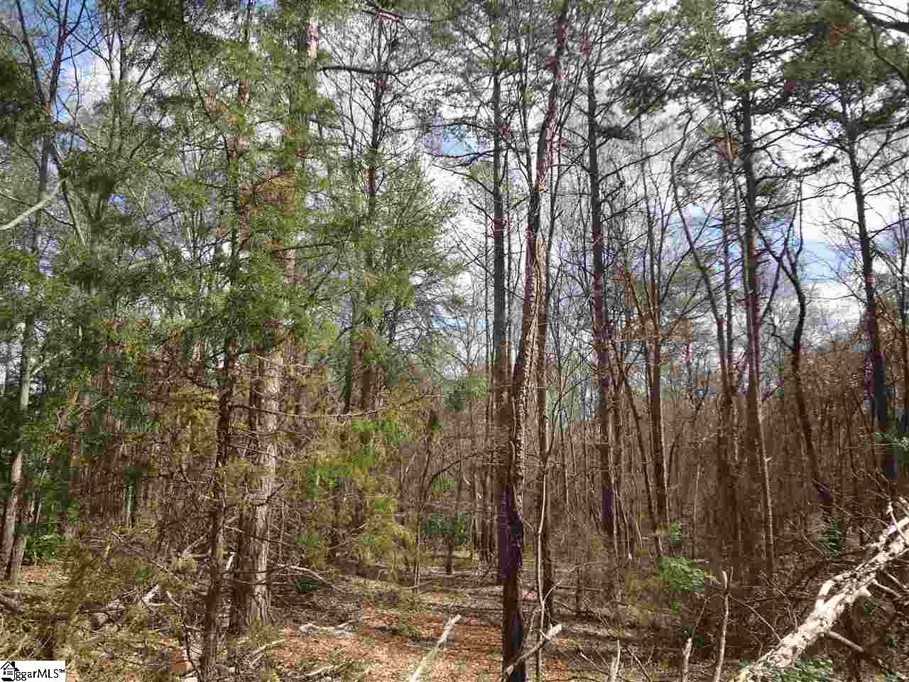 Ridge Road Greenville, SC 29607 - Photo 2 of 9 Gallery Image 2