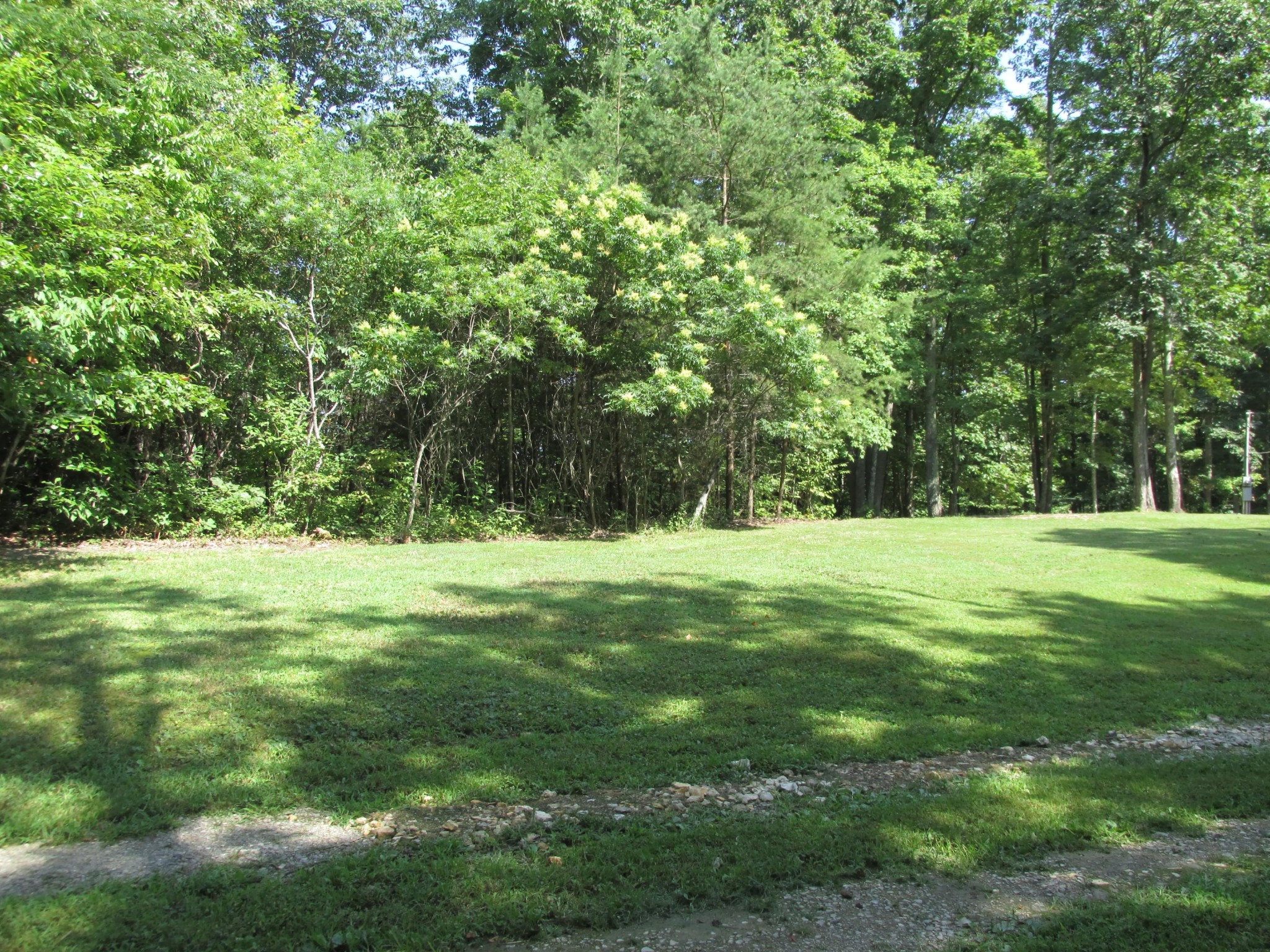 0 Old Chestnut Ridge Road Heiskell, TN 37754 - Photo 1 of 10 a view of outdoor space with trees all around