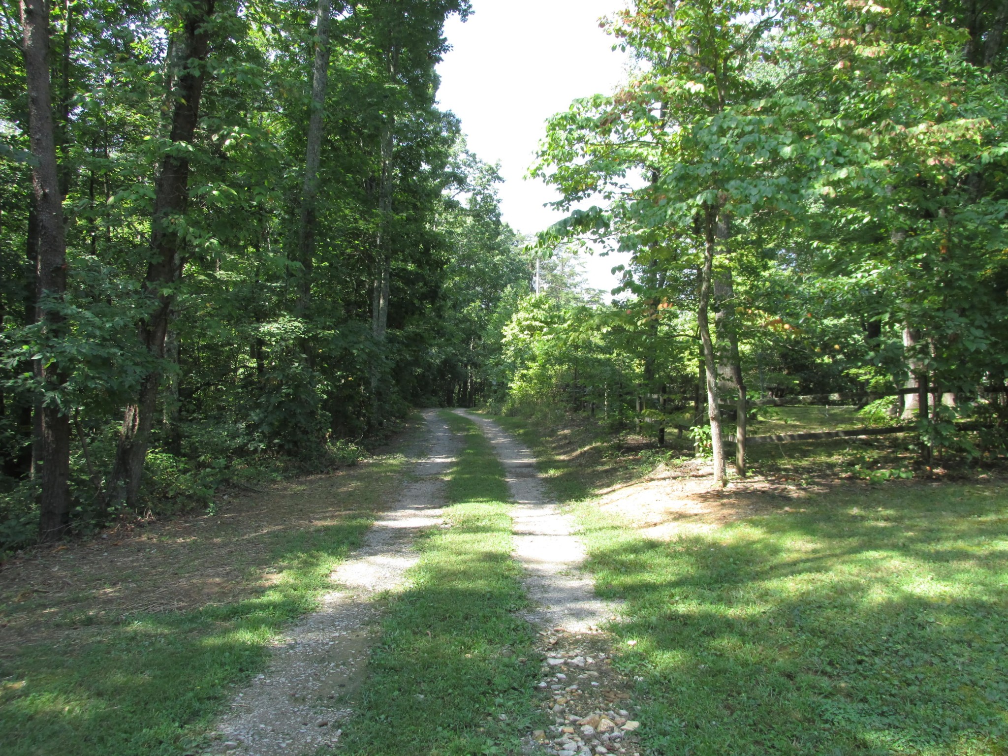 0 Old Chestnut Ridge Road Heiskell, TN 37754 - Photo 2 of 10 a view of a yard with a tree