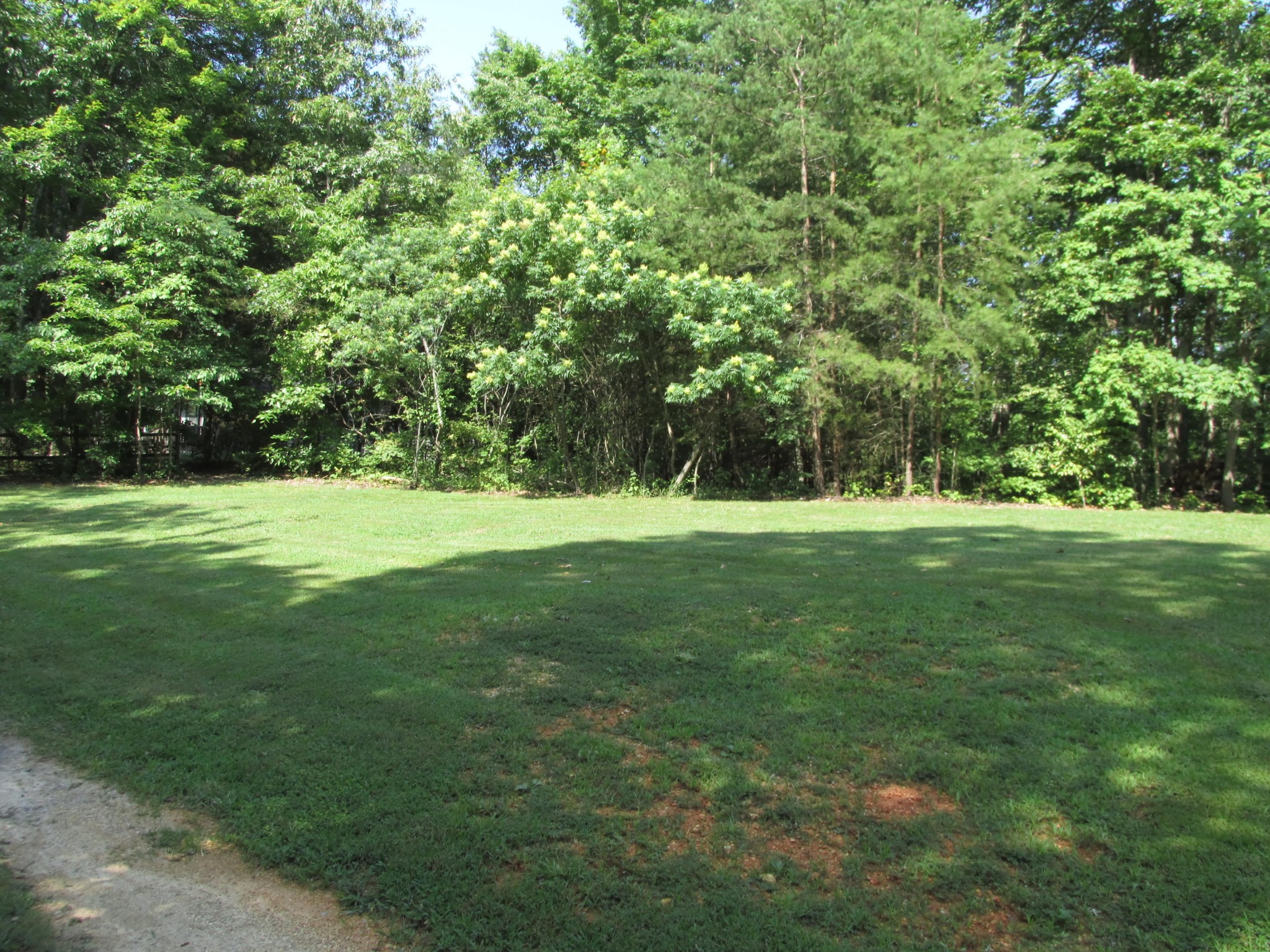 0 Old Chestnut Ridge Road Heiskell, TN 37754 - Photo 3 of 10 a view of a field with trees in the background