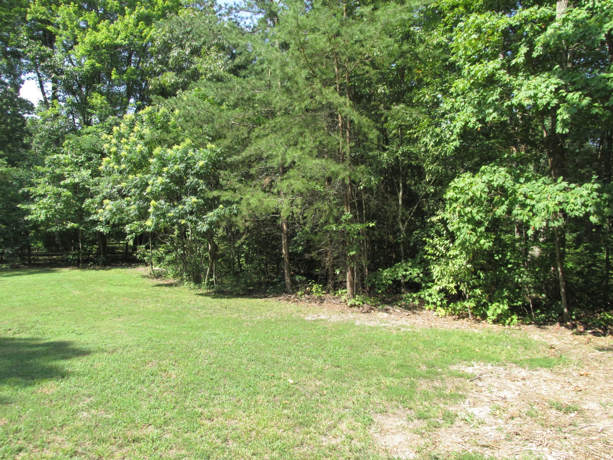 0 Old Chestnut Ridge Road Heiskell, TN 37754 - Photo 8 of 10 a view of green field with trees