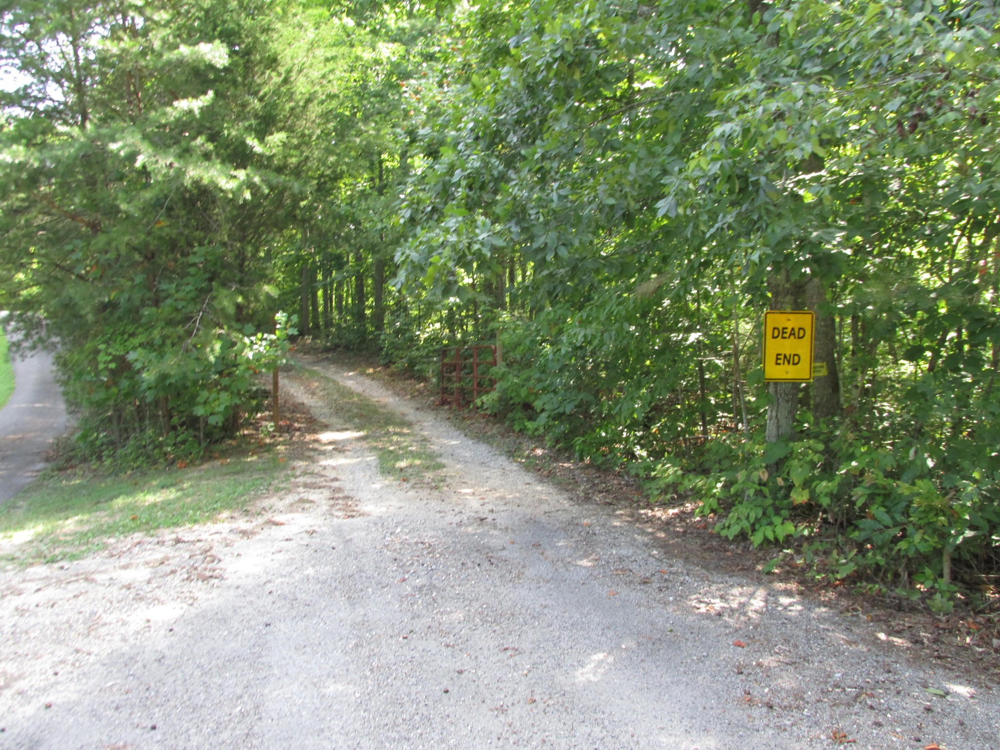 0 Old Chestnut Ridge Road Heiskell, TN 37754 - Photo 10 of 10 a view of a yard with a trees