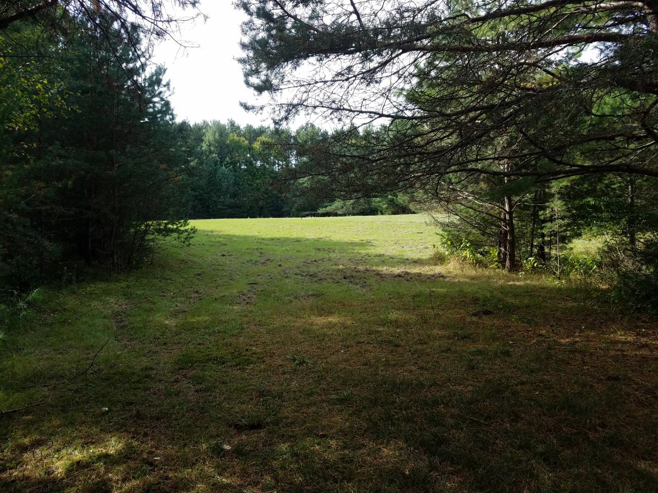 10066 Cedar Falls Road Hazelhurst, WI 54531 - Photo 10 of 15 Gallery Image 10