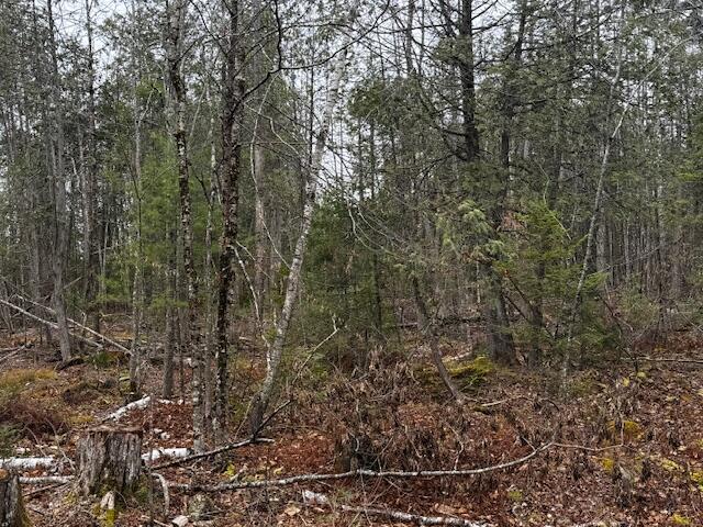 Lot 3 Gee Road Palmyra, ME 04965 - Photo 2 of 6 IMG_1694