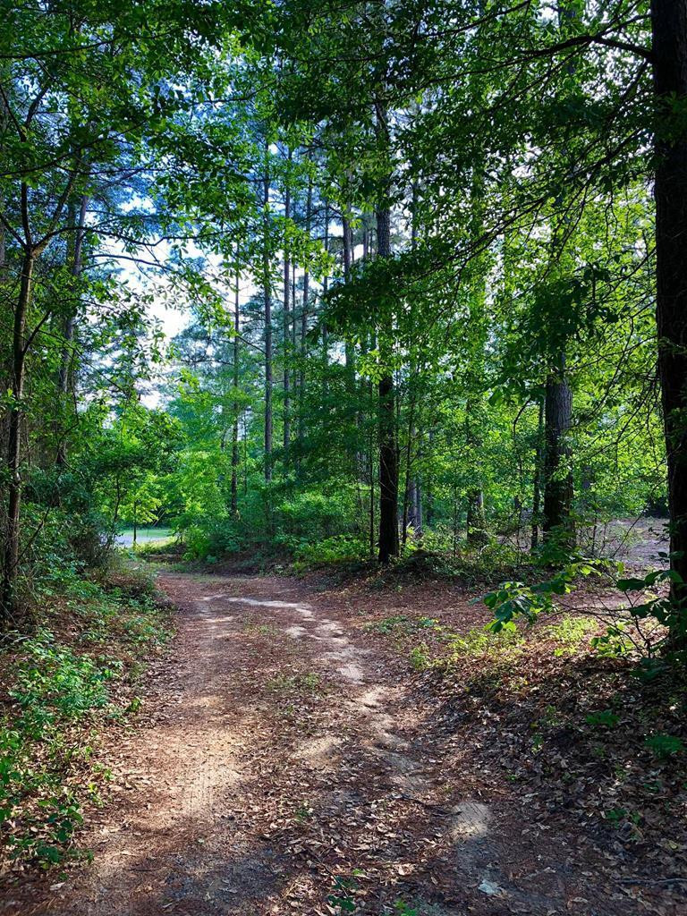 3012 Old Sudlow Lake Road North Augusta, SC 29841 - Photo 11 of 12
