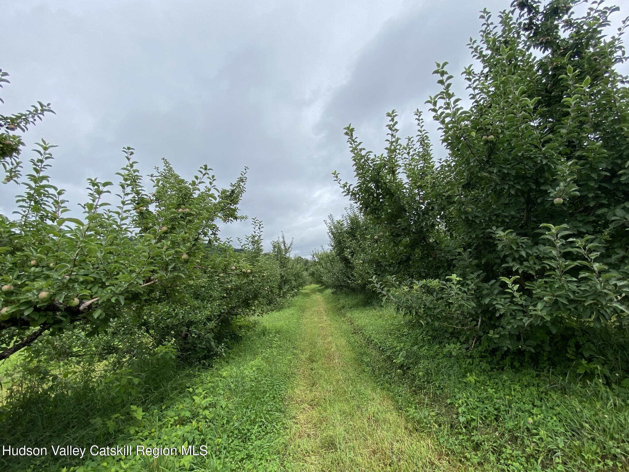 223 Plattekill Road Marlboro, NY 12542 - Photo 22 of 41 223apple