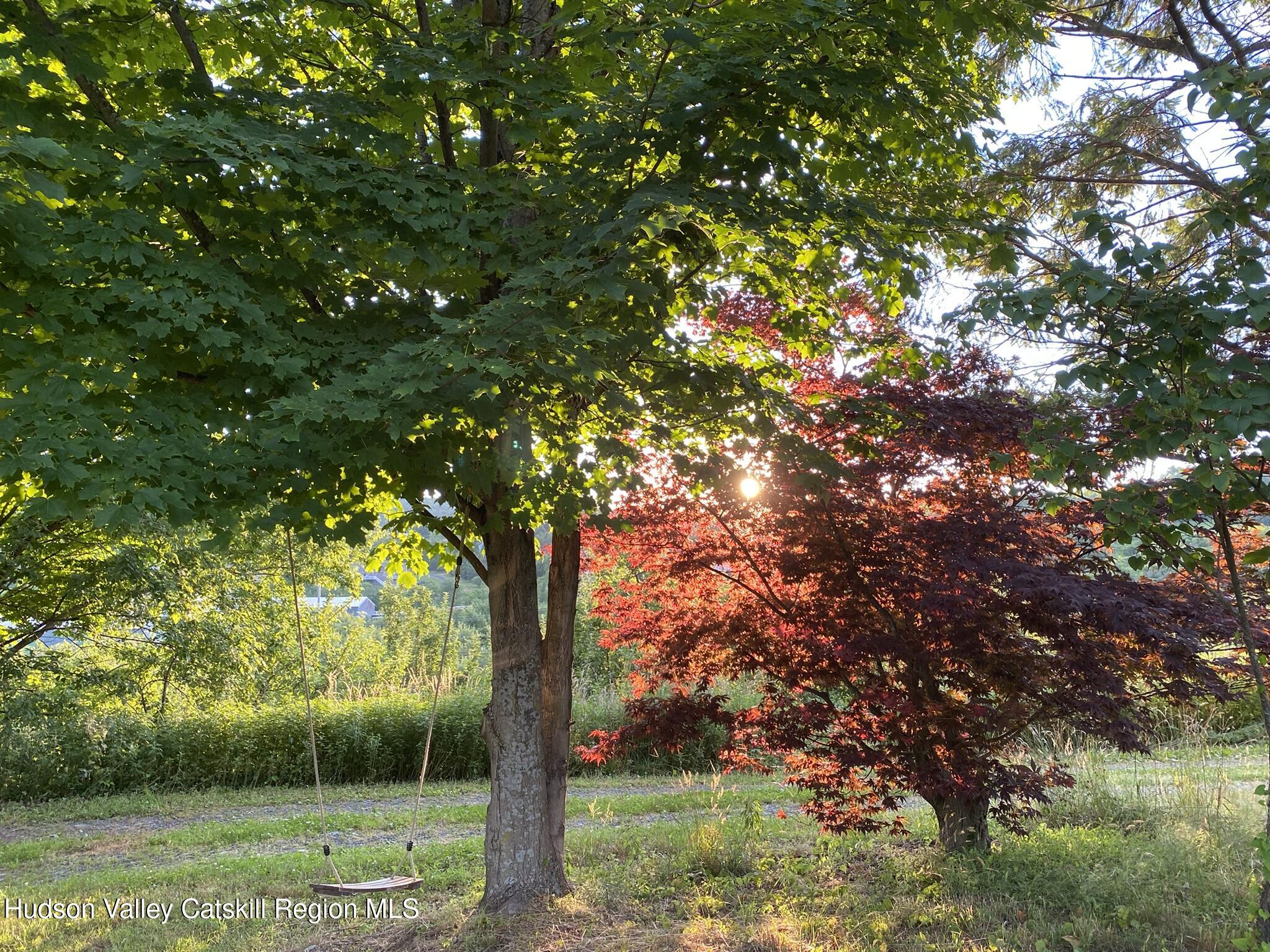 223 Plattekill Road Marlboro, NY 12542 - Photo 28 of 41 223trees