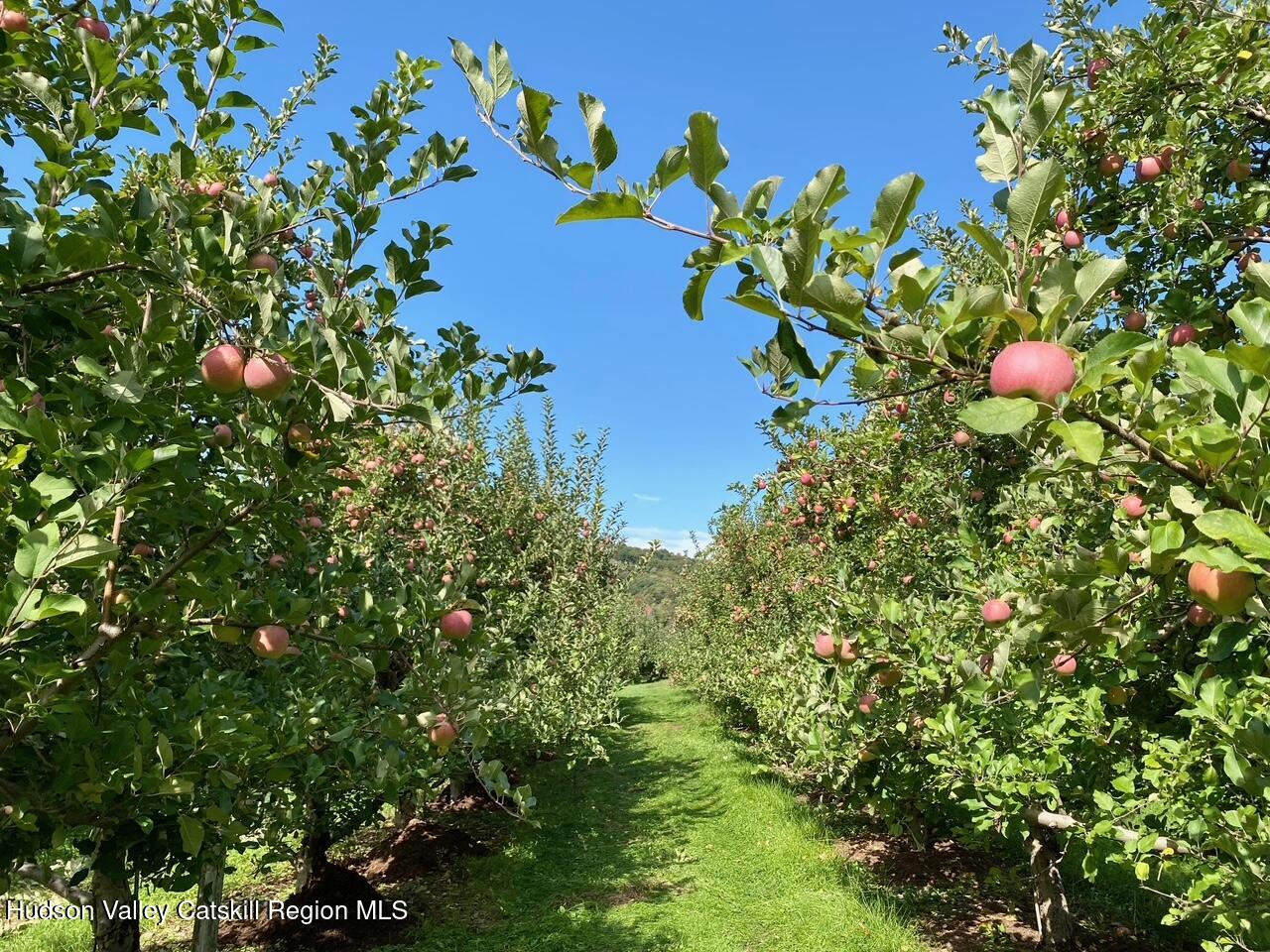 223 Plattekill Road Marlboro, NY 12542 - Photo 40 of 41 IMG_6155